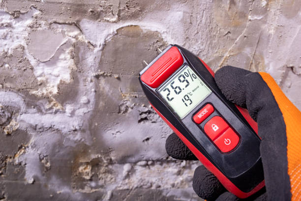 Best Mold Testing and Inspection Services in Rlsbad, CA